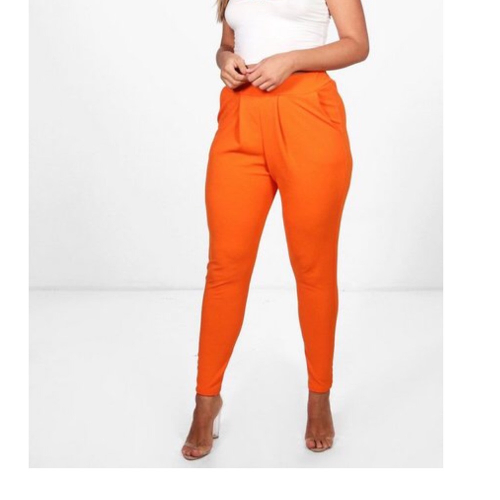 Pleated Trousers